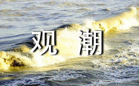  �������¡��۳�Ӧ�ơ���袴�������