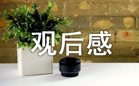 2022冬奥记录片《逐梦北京》观后感(精选5篇)