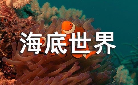 ���������硷�̺�˼