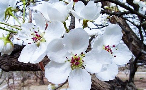 �����������ģ���ѡ20ƪ��