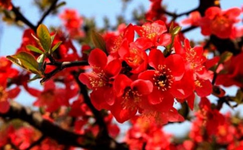 ��ū��������ͤӽǧҶ�����δ�����