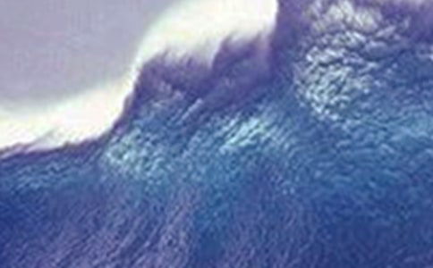 海啸中的远藤未希 阅读附答案