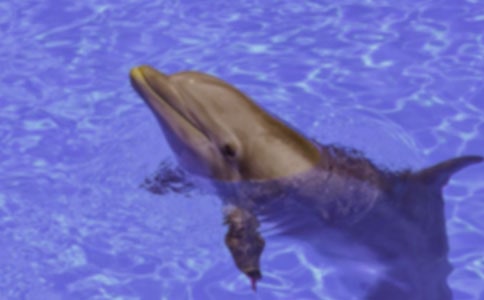 ����ɫ�ĺ��ൺ������(10ƪ)