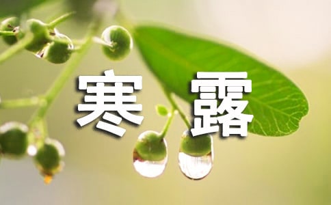 дһ����д��¶�ľ���