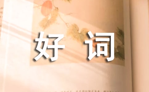 �ôʺþ�ö�ժ����ȫ