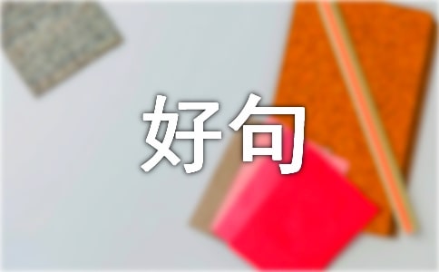 �þ�ժ������д��