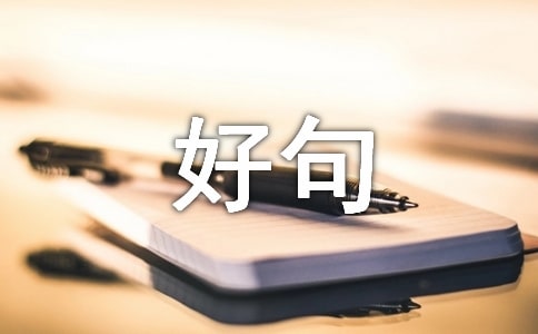 ���ڹ���̬�ȵ����Ժþ�