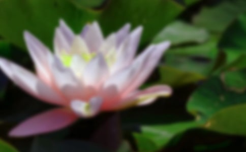 ���ںɻ�ʫ���ȫ