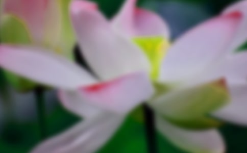 ��д�ɻ����ִ�ʫ(���10ƪ)