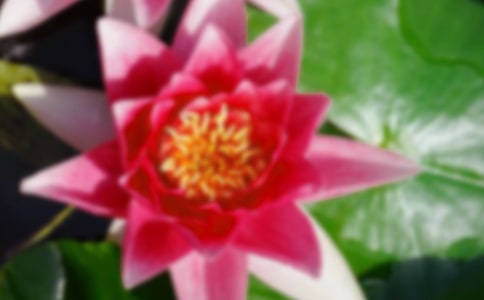 ��д�ɻ����ִ�ʫ����ѡ11�ף�