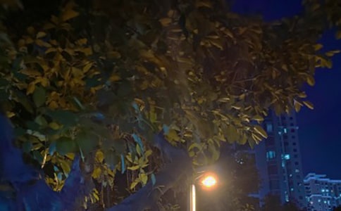 ����ѡ����ҹ��������