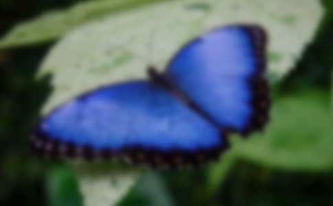 ÿһֻ���������Ǳ���������ʹ���Ƽ�֮�գ����ǳɹ�֮ʱ