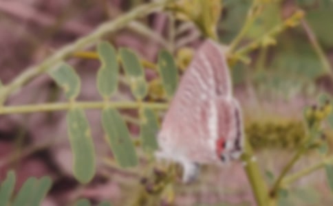 �۷�ͺ������£�ʵ�ã�