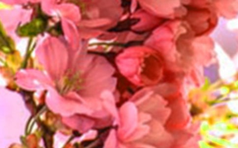 ���ŵĻ�������14ƪ[�ϼ�]