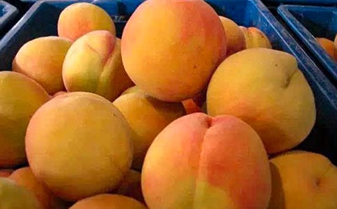 ��ζ�Ļ�����������