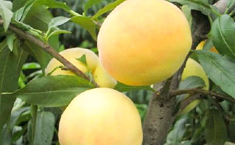 ����Ļ�������7ƪ