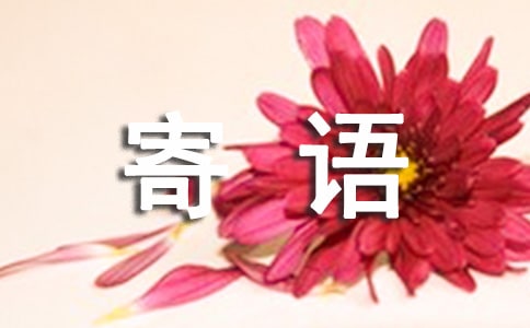 �糿ף������