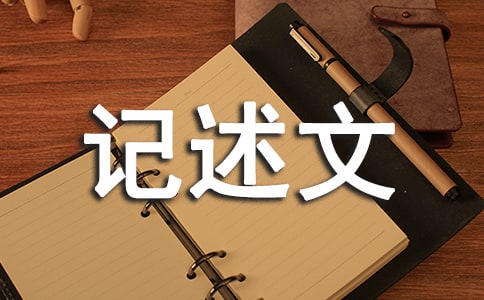 初一优秀记述文作文