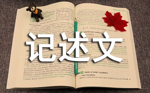 高中优秀记述文