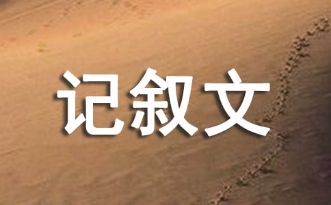 Ӯ�˱��������˵���-���꼶-������