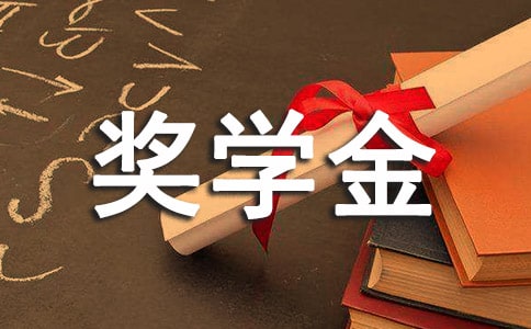 ������ѧ��ѧ������µ��鱨�淶��