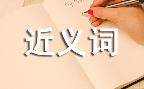 聚精会神的近义词