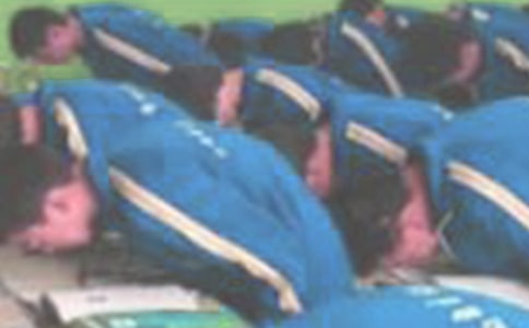 《向生命鞠躬》阅读答案