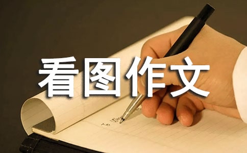 龟兔赛跑21200字作文 - 小学看图作文