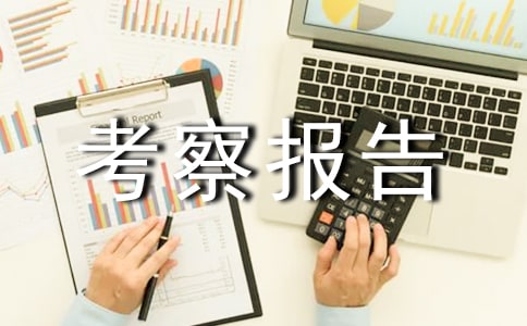 ����ɰ��������Ŀ���챨��