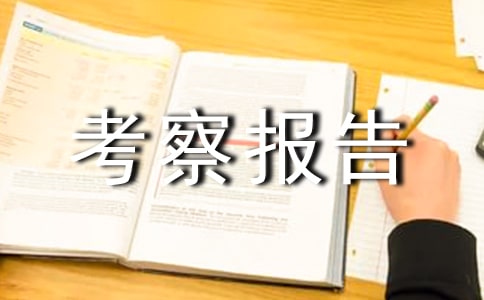 ������ţҵ������ţ��ӹ�״���Ŀ��챨�淶��