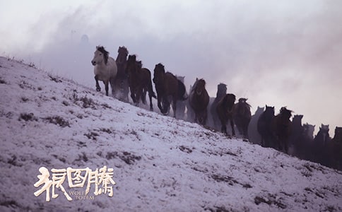 【通用】《狼图腾》感悟