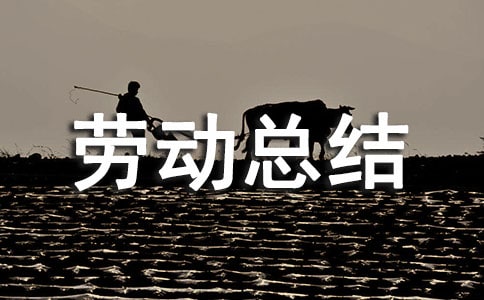 扫雪劳动总结