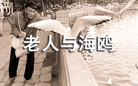 �����뺣Ÿ�����