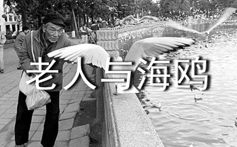 �������뺣Ÿ�������ĵ����