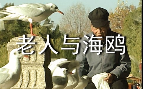 �������뺣Ÿ�и�800��5ƪ