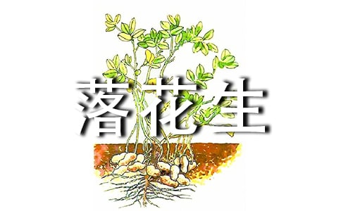 �仨�����ݼ�����