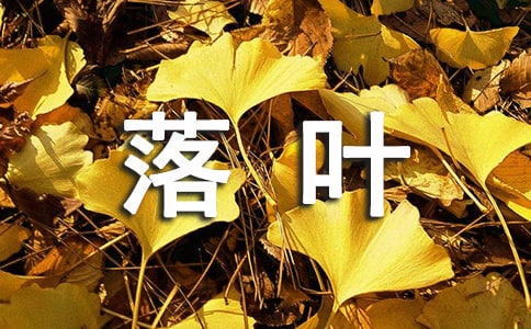 ��ҶҲ���ԺܹԵ�����