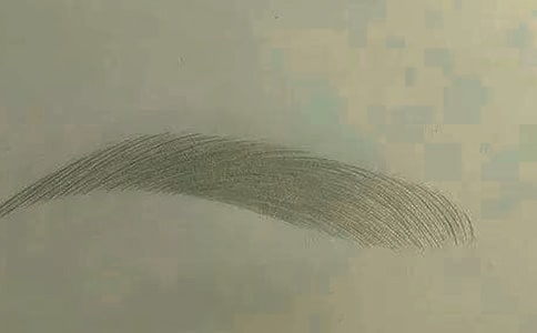 剪眉毛作文6篇(精品)
