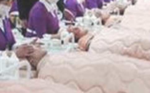 城市的美容师作文集合【15篇】