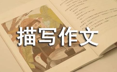 ����Ƭ����д����3ƪ