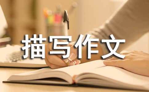 ����Ƭ����д���ĺϼ�7ƪ