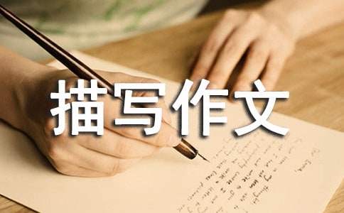 Ƭ����д����
