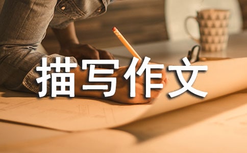 ���Ƽ�������Ƭ����д������ƪ