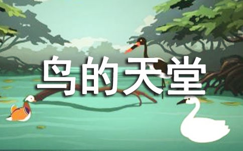 ��������á���ѧʵ¼[����7ƪ]