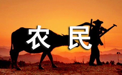 Ϊʲôũ��Խ��Խ��Ը����Ǵ��ˣ�