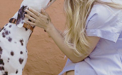 Ů�Կ����������������