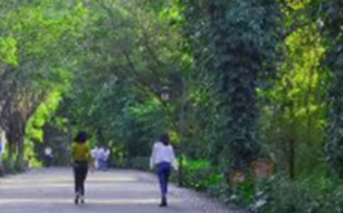 爬山心情短语