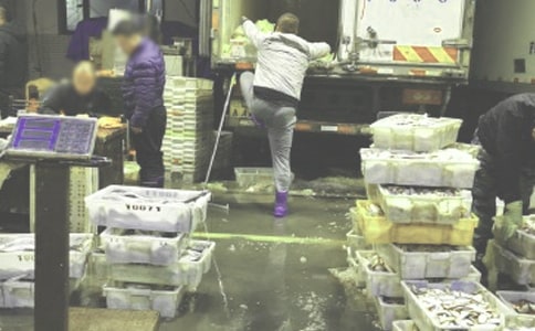 批发副食仓库管理制度(通用5篇)