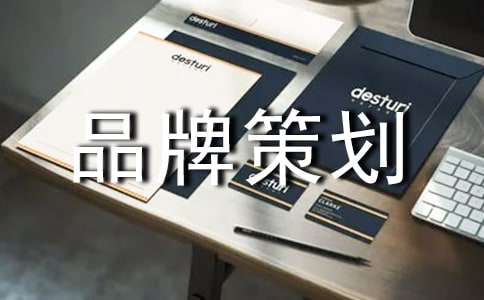 ����Ʒ�Ʋ߻����� Ʒ�ƹ滮�߻�����