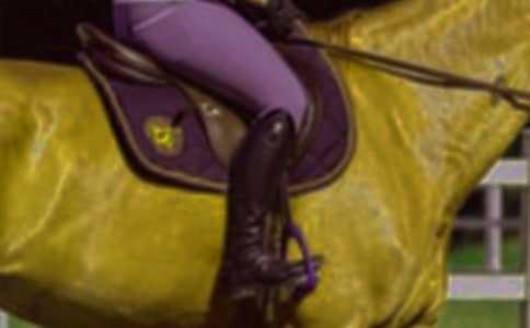 ���ԭ������